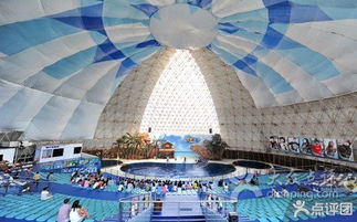 中国国旅国际旅行社 引领国际旅行新篇章，铸就品质出行典范