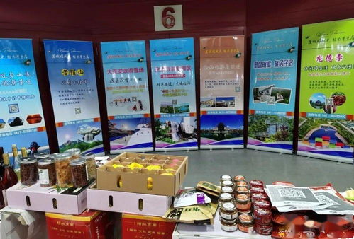 携手长三角，共赢新未来——我区赴上海成功举办对口合作暨地区特色产品展销旅游文化推介活动