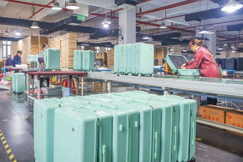 国际旅行劳务品牌 永州2023年度特色劳务新亮点